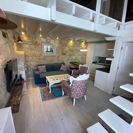 Oezel Tasarimli Tarihi Tas Ev *