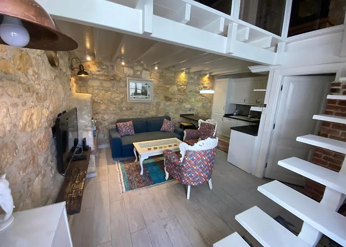 Oezel Tasarimli Tarihi Tas Ev *